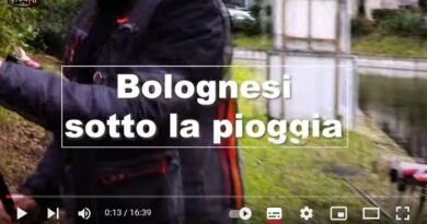 STONFO PRESENTA: BOLOGNESI SOTTO LA PIOGGIA